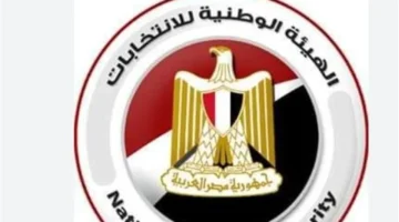 تفاصيل جديدة.. المشاركة الديمقراطية: الهيئة الوطنية للانتخابات تكشف آليات اقتراع سلس ومنظم 2025